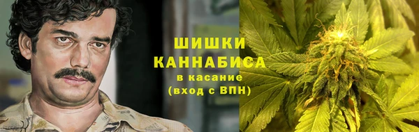 mdpv Новодвинск
