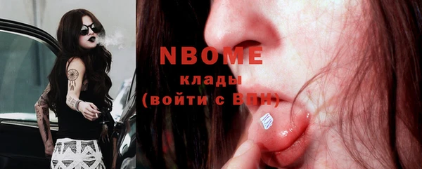 гашик Новозыбков