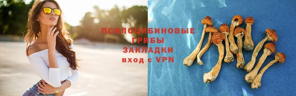 гашик Новозыбков