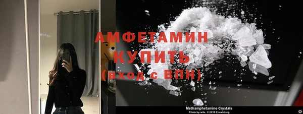 гашик Новозыбков