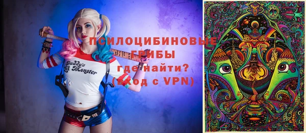 mdpv Новодвинск