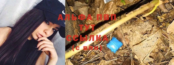 гашик Новозыбков