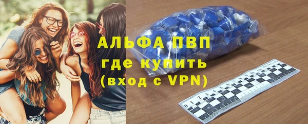 гашик Новозыбков