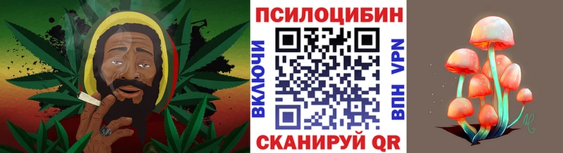 Галлюциногенные грибы GOLDEN TEACHER  Чехов 